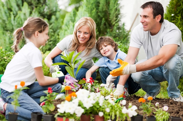 PunjabKesari Vastu Tips for Home Garden